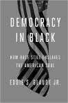 DemocracyinBlack